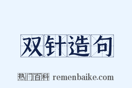 双针造句是什么意思的图片